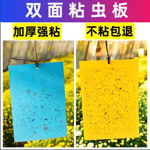 防虫贴粘虫板球果园果蝇诱粘板蚊果树蔬菜双面蚜飞虫大棚丝瓜柑橘