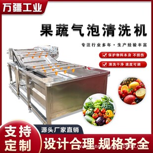 生油菜清机学校食堂水果清洗设备FSD厨房净菜生产线中央洗加工菜