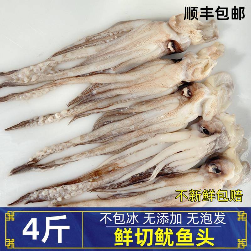 鱿鱼头鱿鱼须无冰鲜切野生大鱿鱼海鲜水产新鲜二本足铁板烧烤商用