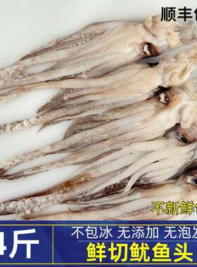 鱿鱼头鱿鱼须无冰鲜切野生大鱿鱼海鲜水产新鲜二本足铁板烧烤商用