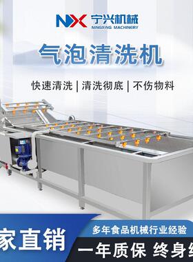 果蔬气泡清洗机 水果蔬菜清洗设备 全自动大型商用连续辣椒洗菜机