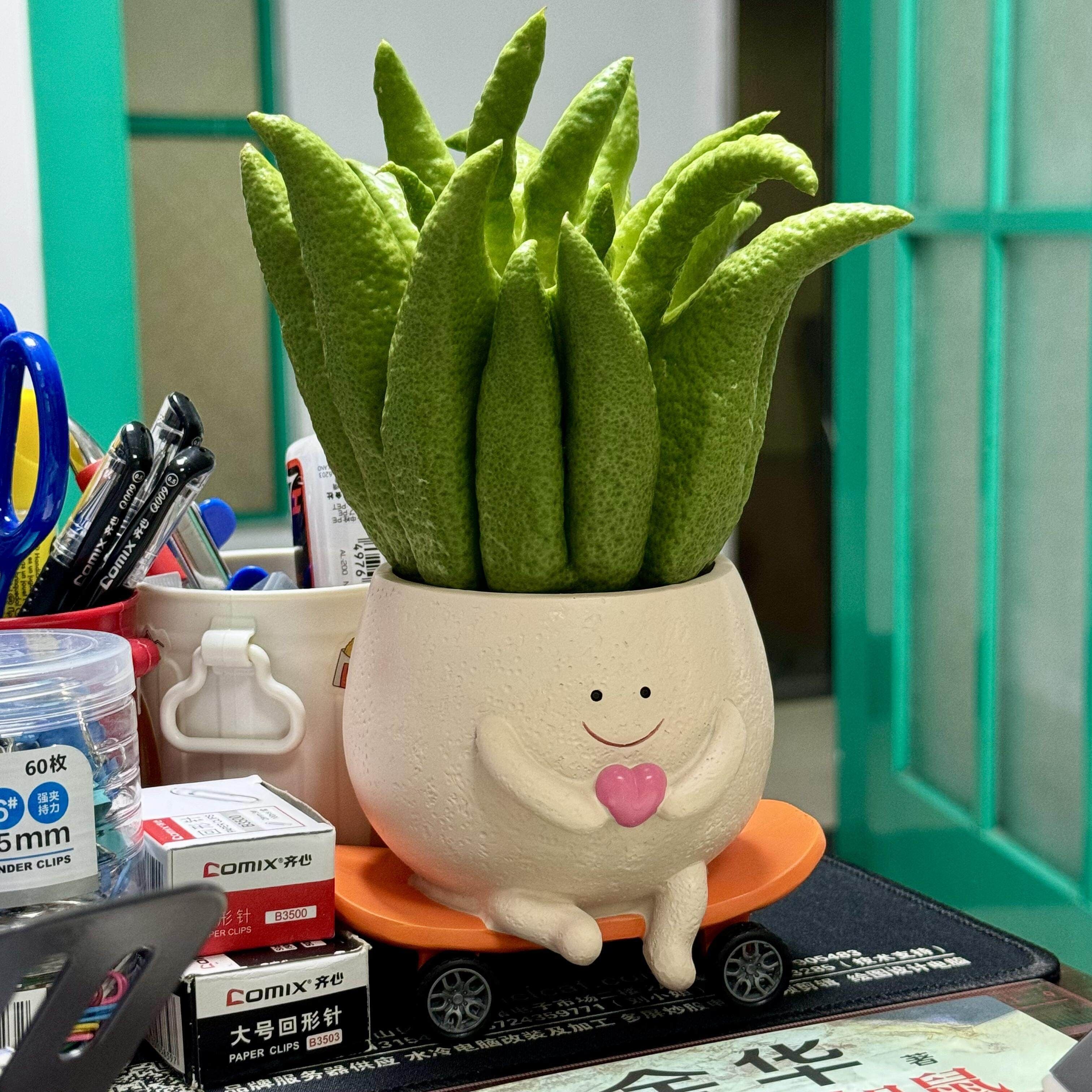 佛手柑托盘高颜值观赏创意摆件客厅轻奢高档花瓶装饰多肉植物盆栽