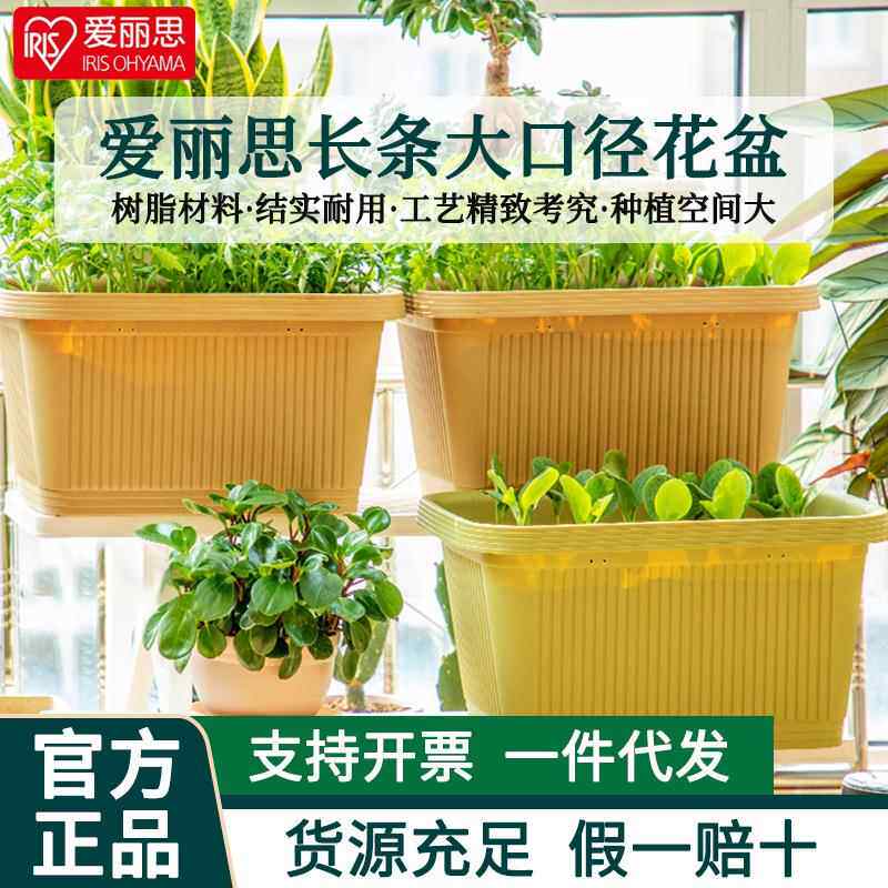 花盆长方形大号塑料花盆阳台种菜盆加厚长条型种花盘花槽包邮
