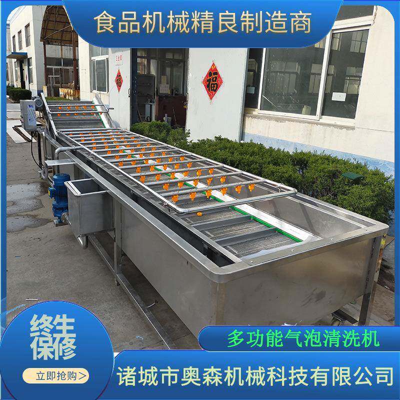 果蔬气泡清洗机 水果蔬菜清洗机 涡流洗菜机商用臭氧消毒洗菜机
