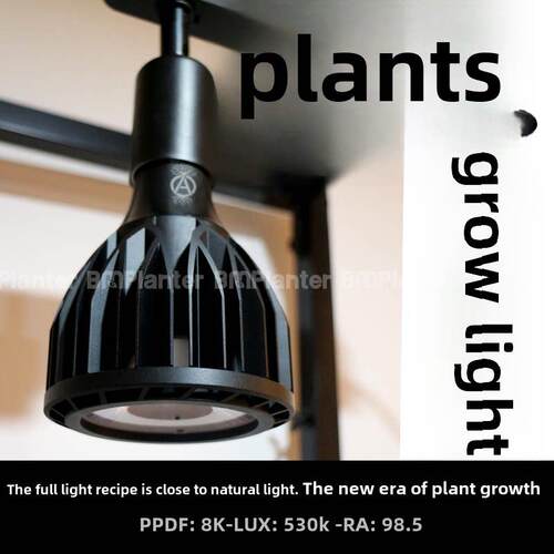 Srl全光谱植物生长补光彷日光多肉家用着色Led灯根绿色植物盆栽植