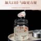 燕窝分装 瓶可蒸煮家用耐高温便携炖盅小玻璃密封罐食品级重覆使用