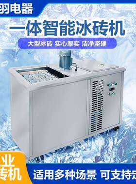 日产量300KG冰砖机小型工业制冰机商用养猪场隧道降温冰砖机