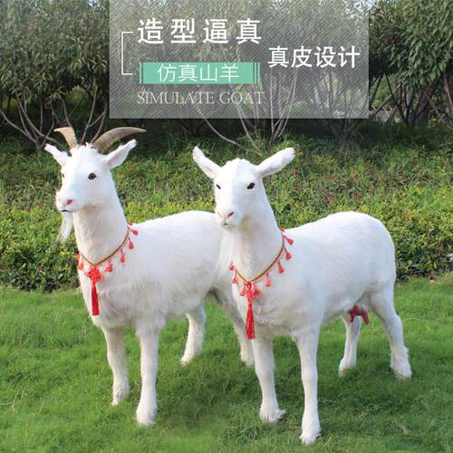 彷真山羊模型彷皮山羊动物标本奶粉店橱窗摆件活动展示道具工艺礼