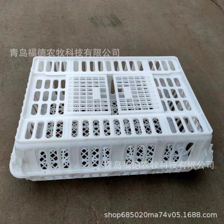活禽运输筐厂家 塑料运鸡筐 拉鸡运输筐 加大加厚周转筐厂家