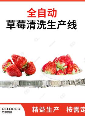 定制车厘子清洗风干生产线机械 樱桃自动气泡洗果机器 草莓清洗机