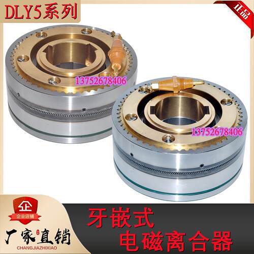 电磁离合器DLY5系列2A5A10A25A100重型大力矩牙嵌式DC24V质保一年
