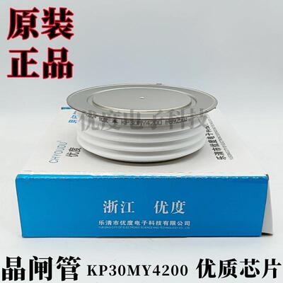 高压晶闸管/可控硅KP30MY4200KP3000A4200VKP3000A