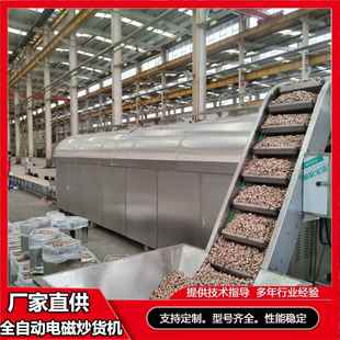 瓜货子电炒货机流水线杏仁炒机豆粕麦磁麸OLA鱼饵连料续式 炒货机