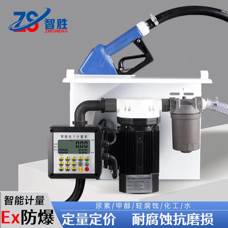 简易式甲醇专用尿素化工腐蚀液体计量定量加注总成加甲醇注尿素机