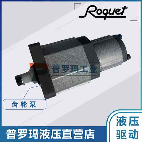 西班牙双联泵齿轮泵1LP7.5-3DE10R 1LP10-7.5DE10R 油泵