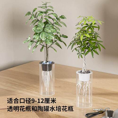 Home-use professional hydroponic planting basket, thickened