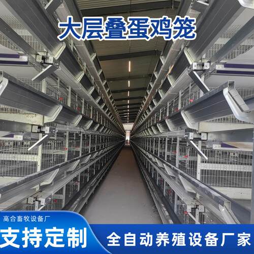鸡笼蛋鸡笼厂家全自动养殖机械设备自动清粪集蛋大型养殖场用鸡笼