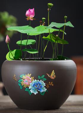 紫砂大号荷花缸莲花专用陶瓷水培铜钱花盆无孔水培睡莲碗莲盆缸厂