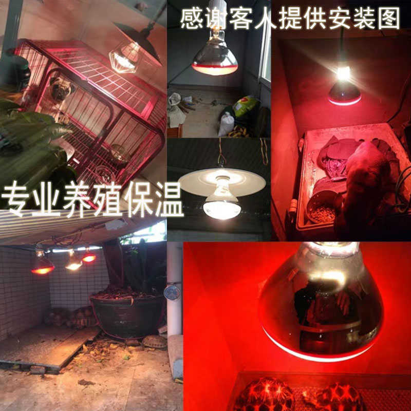 保温取暖养殖畜牧加厚烤养殖保温小鸡灯泡仔猪灯防水灯红外线灯