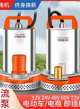 十二伏接插电动车电瓶车专用抽水泵直流潜水泵12v24v48v60v抽水机