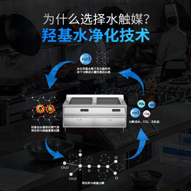全自动洗菜机智能果蔬清洗机去农药节能商用水触媒食品净化机