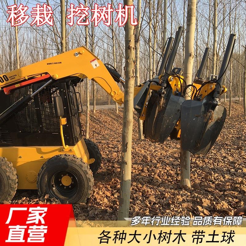 全自动带土球挖树机口包安装大型苗木车移栽机载出式榴莲树起树机