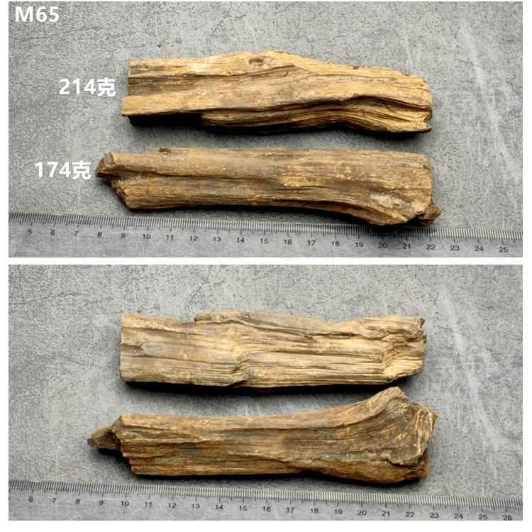 新款黑龙江木化冰河时期树天化硅化石木原石摆玉件然奇石观赏石标