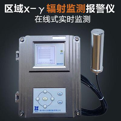 高档 R-EGD便携式辐射检测仪 XRP6000型-Y辐剂射量率仪辐射剂检测