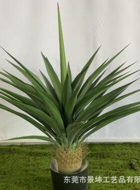 仿真剑麻仿真绿植剑麻盆栽工厂各种假绿植盆景仿真剑兰树装饰