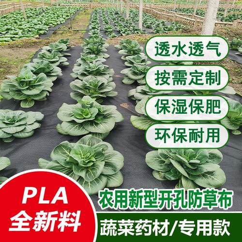 家庭菜园种草莓打孔防草布除草布保湿透水气可降解农用带孔地膜布