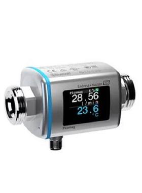 Endress+Hauser 流量开关DTT31-A1C111AA2CAB恩德斯豪斯E+H直销