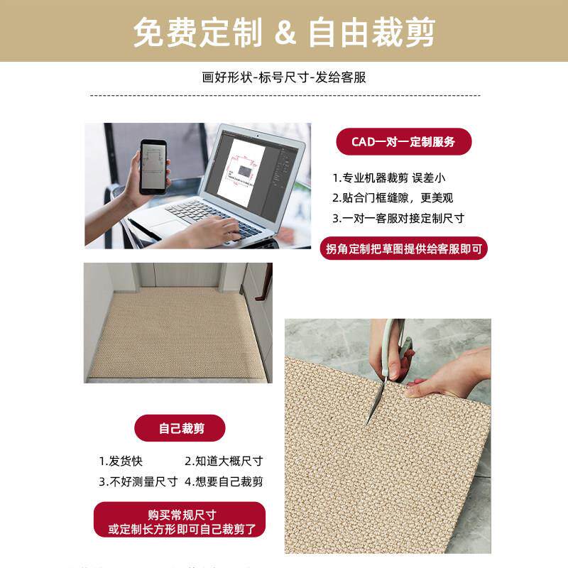 进门地垫轻奢高级门垫入户门防地水滑垫毯家用室内防彷剑麻定DM-1