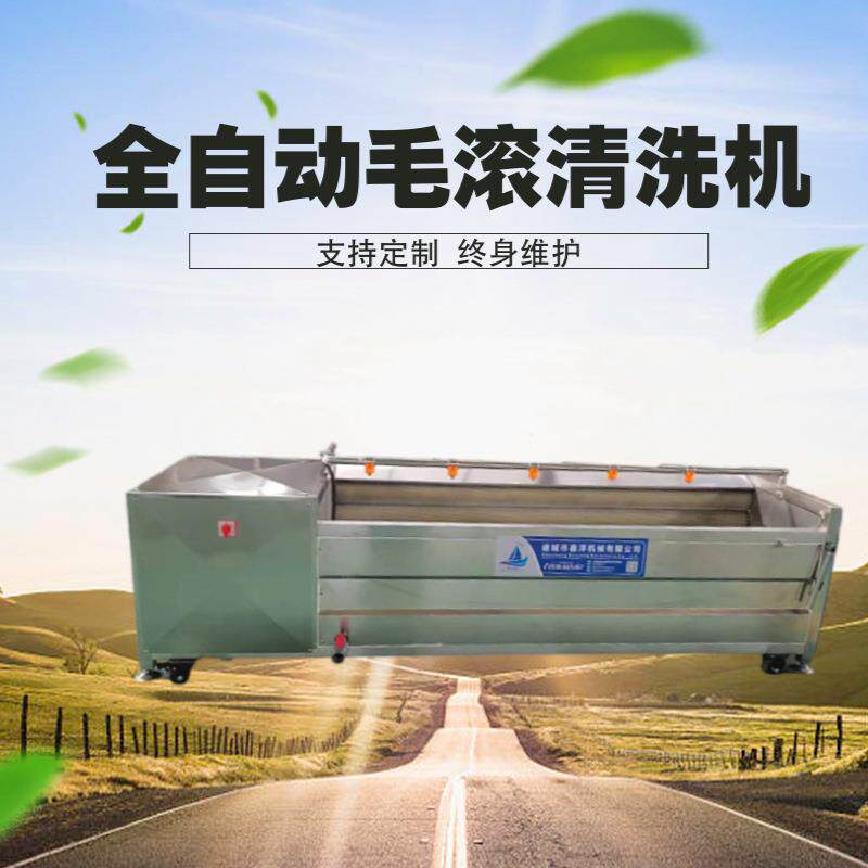 毛辊清洗机海蛎子去泥沙清洗猪蹄鸡爪毛刷冲洗加工设备自动清洗
