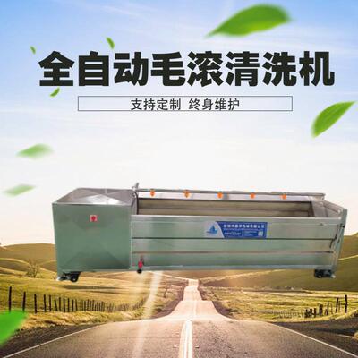 毛辊清洗机海蛎子去泥沙清洗猪蹄鸡爪毛刷冲洗加工设备自动清洗