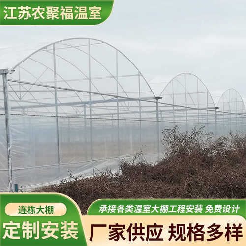 浙江水果蔬菜大棚薄膜连栋温室大棚骨架农业种植遮阳连体种植大棚