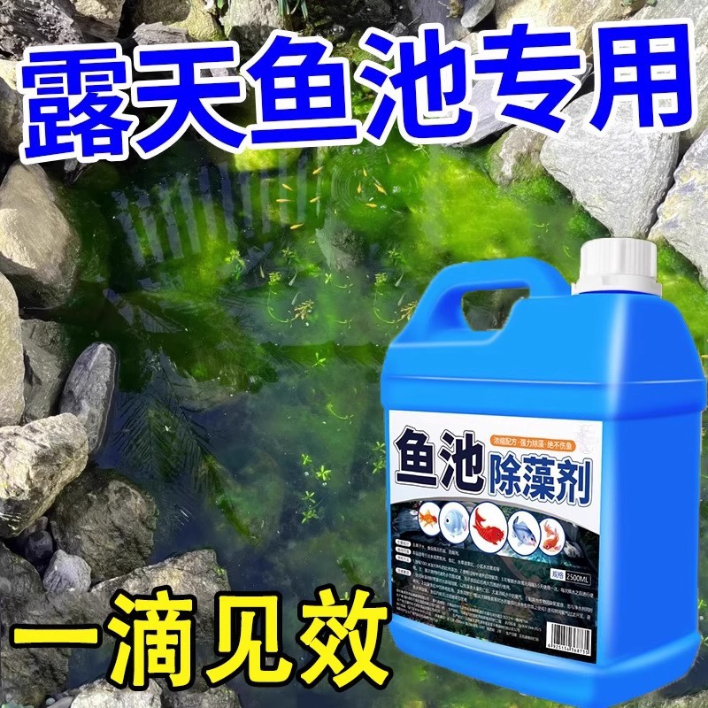 鱼池净化绿藻其它水族用具设备