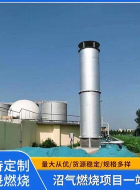 新款气水分离器气液分离器沼气分离器厂家
