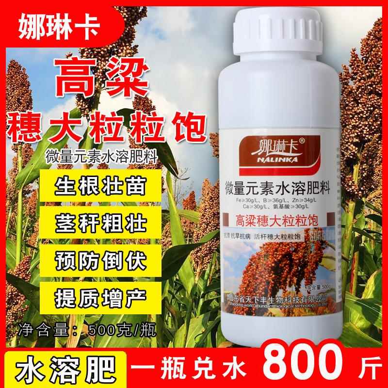 高粱穗大粒粒饱高粱专用水溶肥生根壮苗茎秆粗壮促进分蘖穗大粒饱