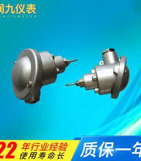 厂家供应温度传感器装热电阻铠T100阻用工业装WZPK-161P配式热电