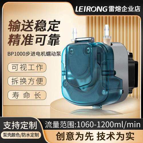 雷熔BP1000步进蠕动泵家用压泵全自动静音自吸泵