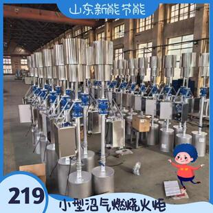 304不锈钢内燃火炬沼气燃烧火炬污水处理厂沼气池火炬
