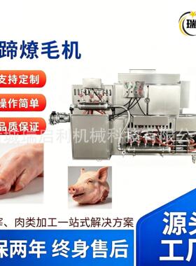 自动烧毛机猪蹄牛羊蹄猪头去毛机商用肉类燎毛机食品加工烧毛设备