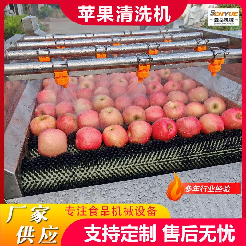 商用全自动果蔬毛刷清洗机苹果毛辊清洗机设备甜橙毛刷清洗机