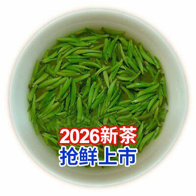四川峨眉山明前春茶 雀舌绿茶250g 鲜爽回甘炒青工艺