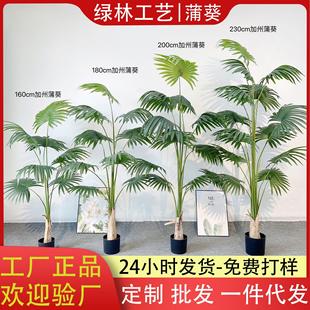 北欧热带加州蒲葵仿真绿植盆栽客厅落地圆叶扇葵树绿植盆景摆件