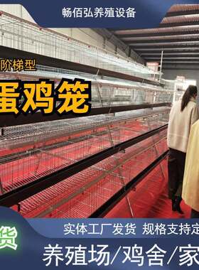 阶梯鸡笼架子鸡舍养鸡多层式养殖设备镀锌丝养殖设备三四层蛋鸡笼