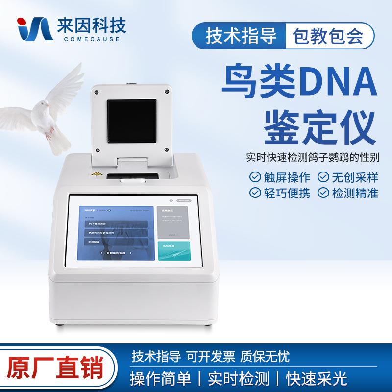 荧光定量PCR仪鸽子公母检测仪DNA鉴定鸽子雌雄性别检测仪PCR仪