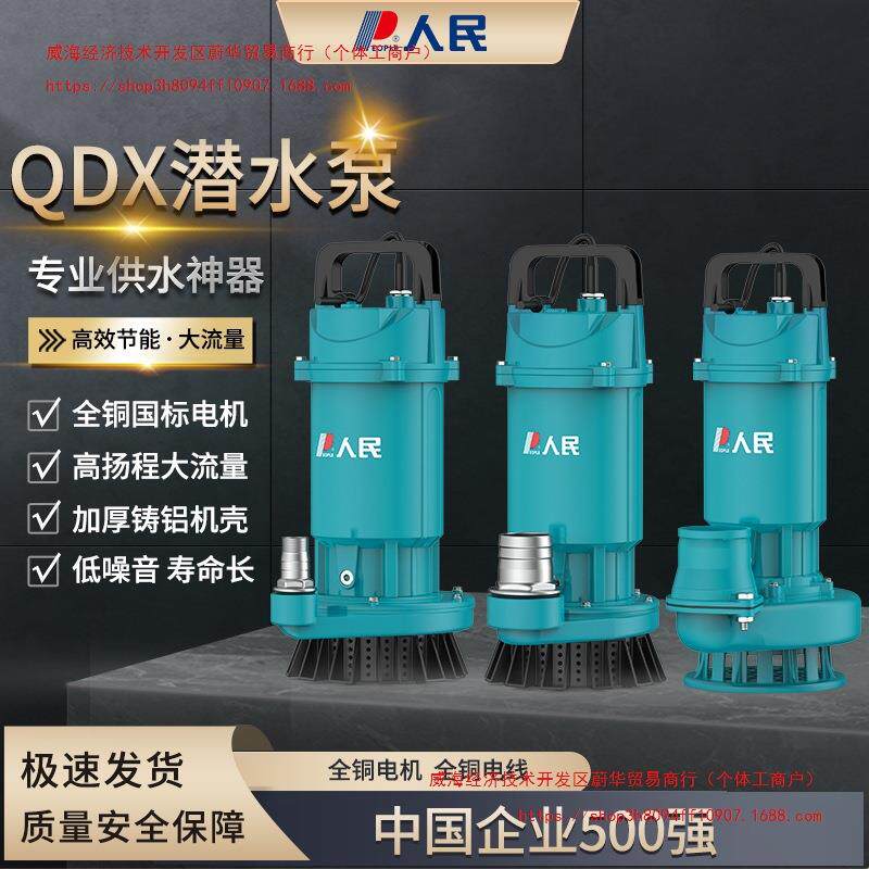 人民电器潜水泵220V清水泵大口径家用抽水泵大功率农用灌溉排污泵