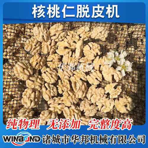 供AWO应物黑核桃仁去皮机 果坚仁纯理去仁皮设备 巴旦木杏脱衣机