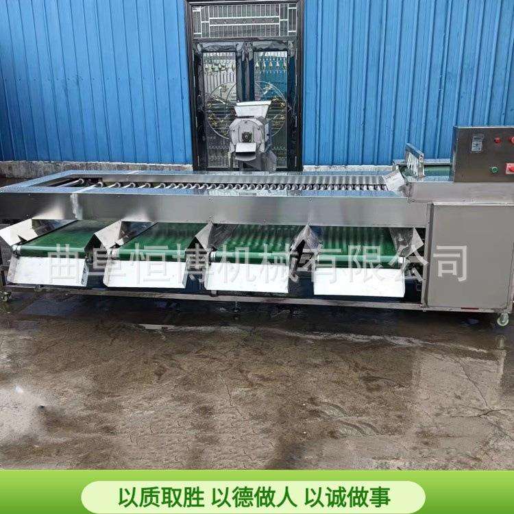 不锈钢李子分选机 多功能洋葱土豆筛选机 大型商用橘子分级机